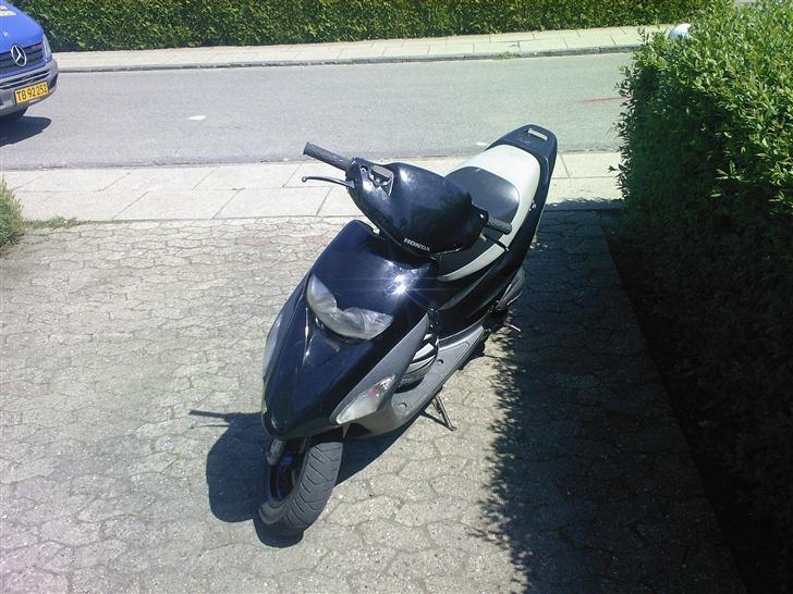 Honda Sfx byttet til Street billede 5