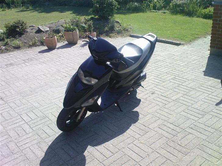 Honda Sfx byttet til Street billede 8