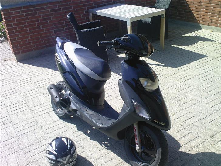 Honda Sfx byttet til Street billede 10