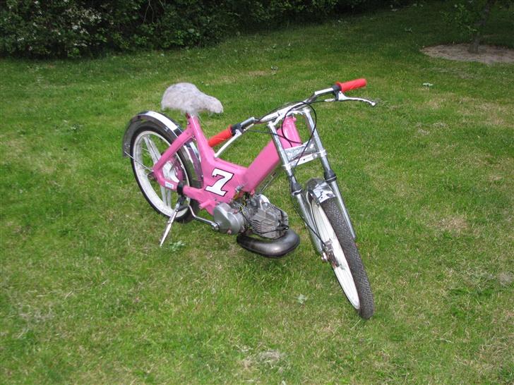 Puch Maxi  projekt billede 1