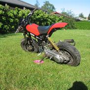 Suzuki Street Magic !SOLGT!
