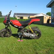 Suzuki Street Magic !SOLGT!