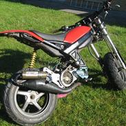 Suzuki Street Magic !SOLGT!