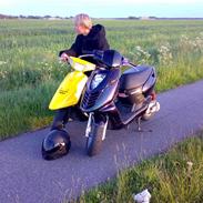 Aprilia sonic Camilion