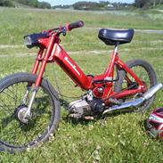 Puch Maxi K -= Polini =- SOLGT