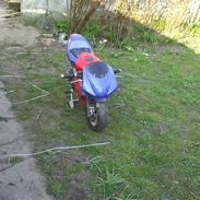 MiniBike pockibaick