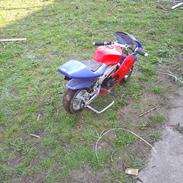 MiniBike pockibaick