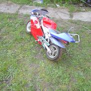 MiniBike pockibaick