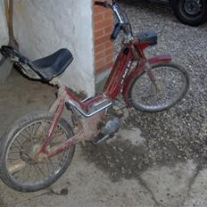 Puch Maxi k 