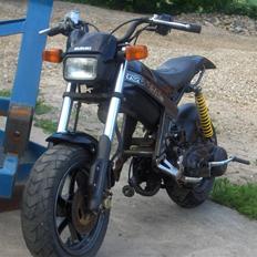 Suzuki Street Magic *SOLGT*