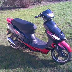 Giantco Sprint - Totalskadet -