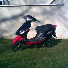 Giantco Sprint - Totalskadet -