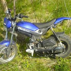 Suzuki Street Magic solggt