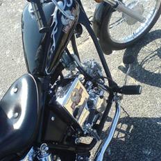 Regal Raptor BYTTET!