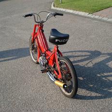 Puch Maxi p *Død*