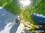 Piaggio zip //Solgt\\