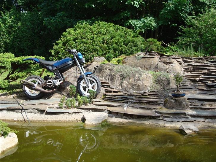 Suzuki [Street Magic] | SOLGT | billede 7