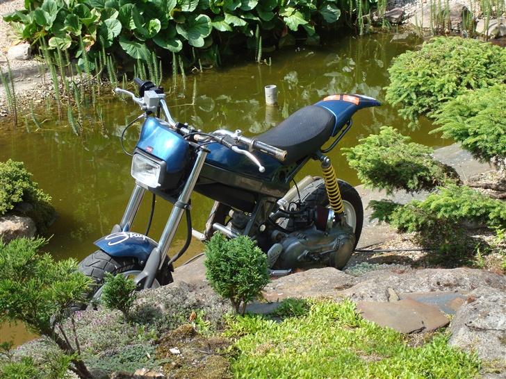 Suzuki [Street Magic] | SOLGT | billede 8