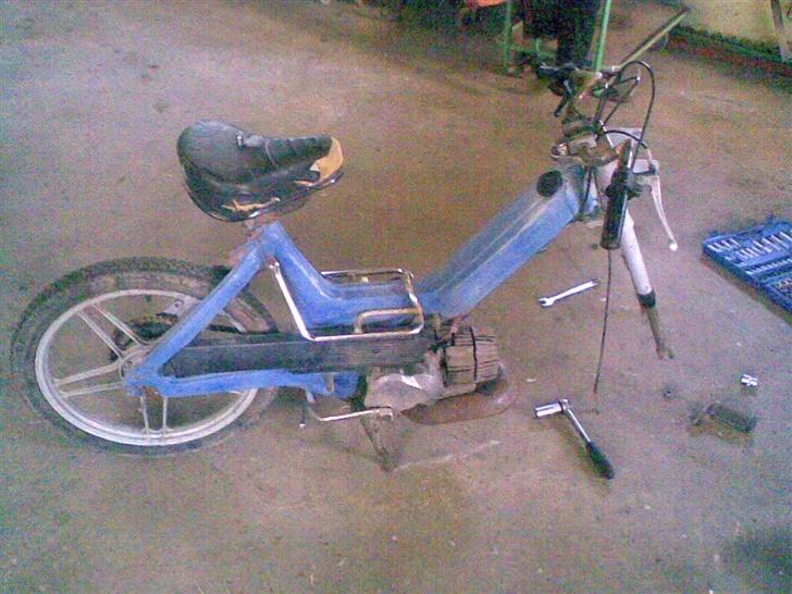 Puch maxi -DEN BLÅ OST Solgt billede 4