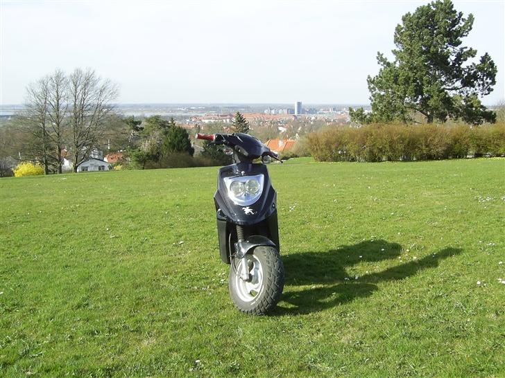 PGO Hot 50  billede 6