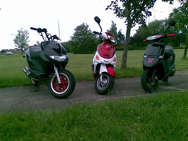 Baotian Jin Lun JL50QT-5(Solgt) billede 9