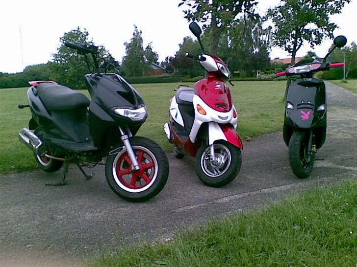 Baotian Jin Lun JL50QT-5(Solgt) billede 10