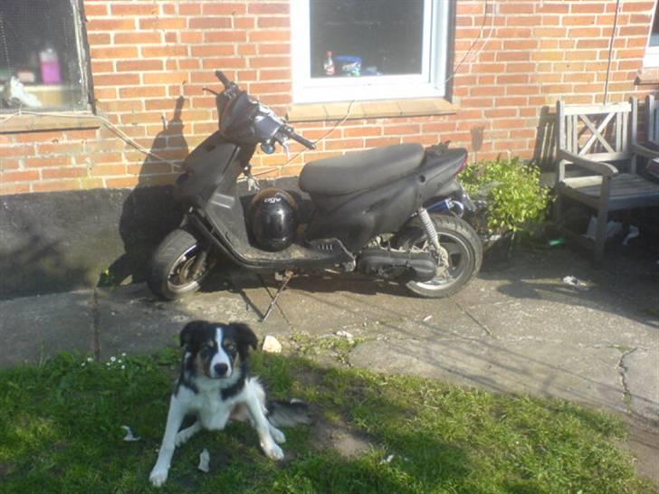 CPI popcorn _-=[ solgt ]=-_ - hvor den plejer at stå min hund snig sig med på billedet billede 11
