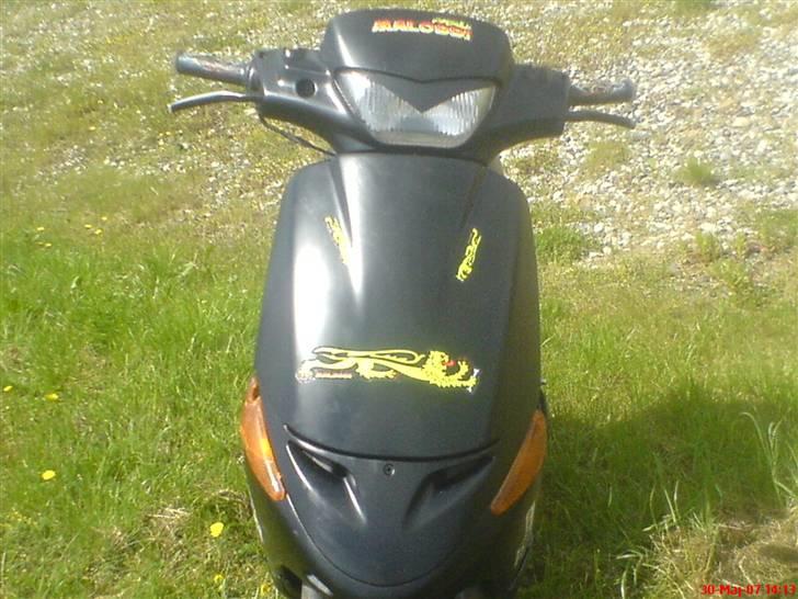 Peugeot Buxy#Bette-Golle#SOLGT - DONE For fed scooter :D  billede 12