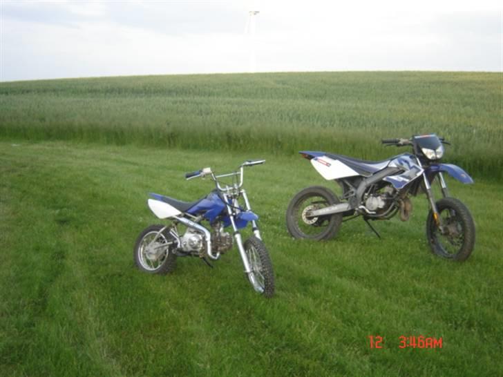 Derbi Senda  - Lille Bror billede 18