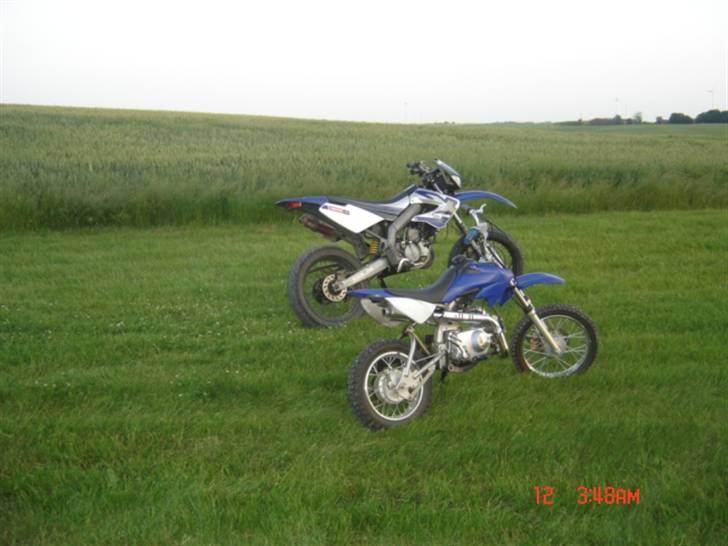 Derbi Senda  - lille bror billede 20