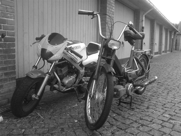 Yamaha YSR80 AC => STJÅLET! billede 3