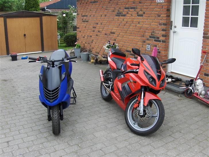Aprilia sonic solgt - mine 2 damer billede 13
