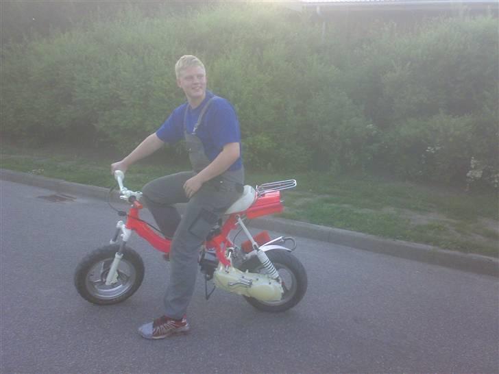 Suzuki Fz50/Hot50 - ejeren .  billede 2