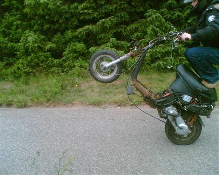 Piaggio Zip  - Før (d. 6/6) billede 10