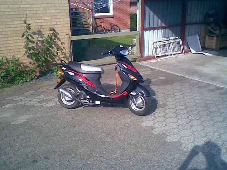 Texas Free 50 4 (HaveFræseren) billede 5