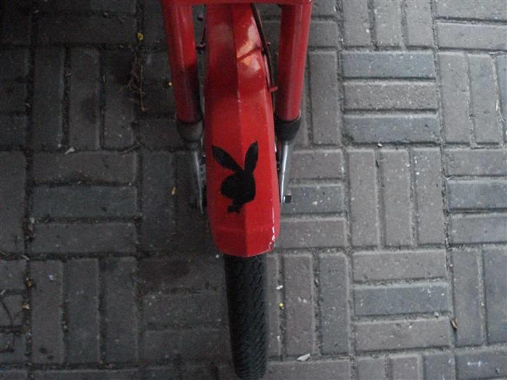 Puch Maxi p *Død* - mit hjemmelavede playboy logo billede 5