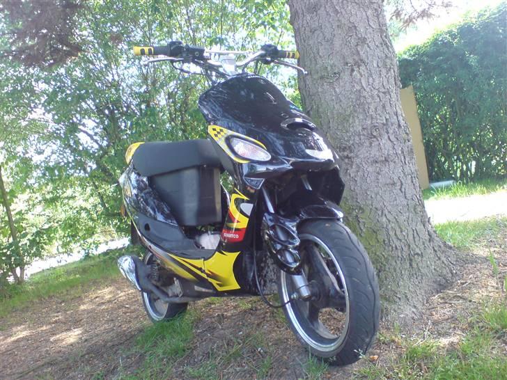 Giantco Sprint Yellow - Foto Af M. a billede 13