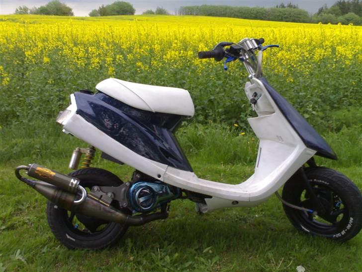 Malaguti jog ac billede 7