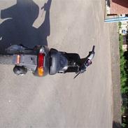 Gilera stalker (sjålet)