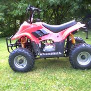 MiniBike ATV SOLGT