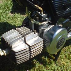 Puch maxi k 'jubilæums model'