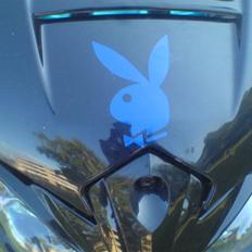 Suzuki street magic byttet