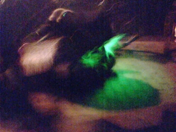 Yamaha jog space SOLGT billede 5