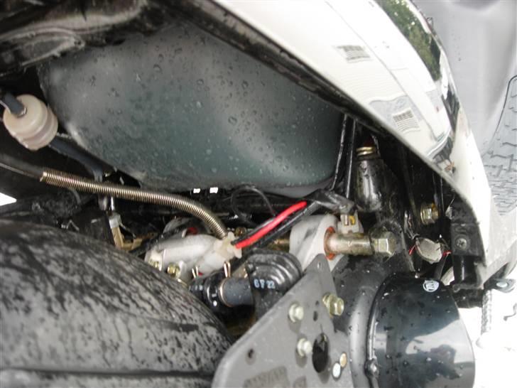 PGO Hot 50 *Fiffi* [SOLGT] billede 6