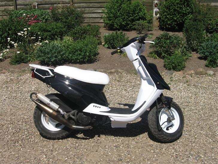 PGO Hot50 (Færdig) - Færdigt Arbejde billede 1