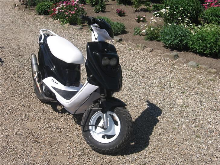 PGO Hot50 (Færdig) - Færdigt Arbejde billede 8