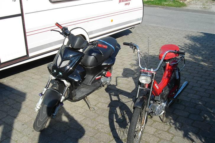 Puch maxi kl billede 6