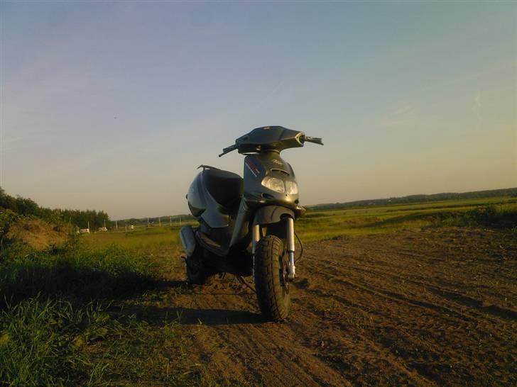 Aprilia rally billede 1