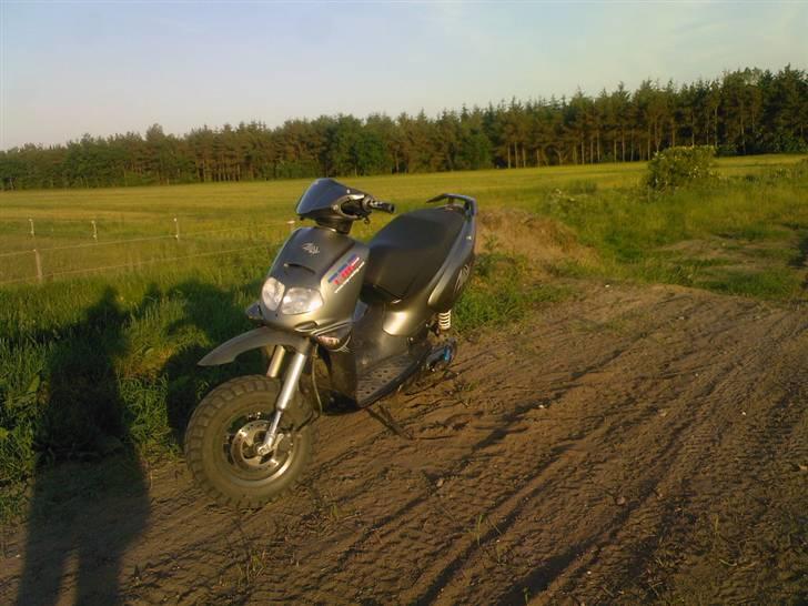 Aprilia rally billede 2