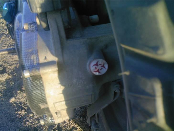 Aprilia rally billede 9